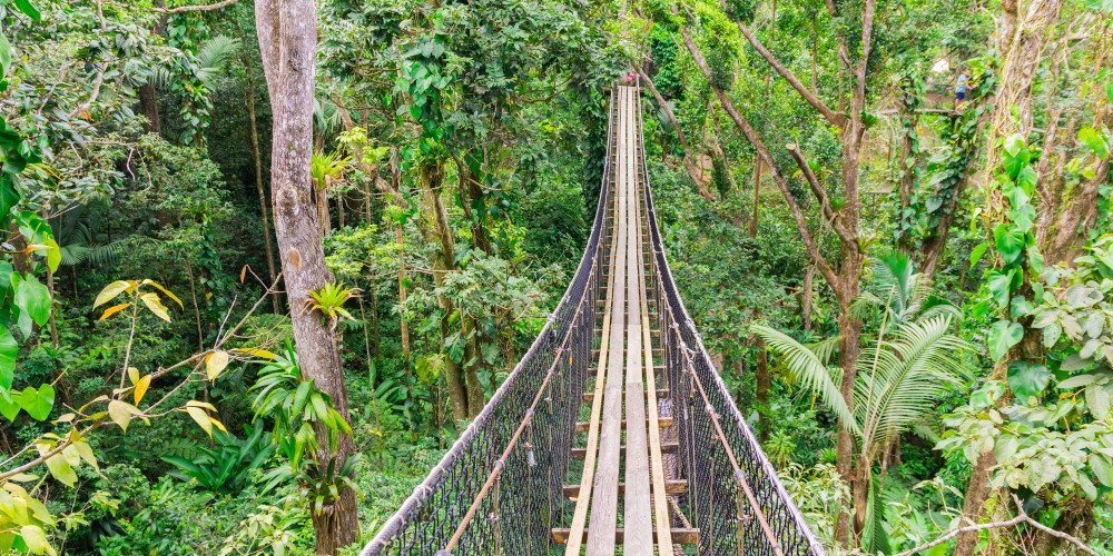 location voiture aéroport Guadeloupe route mamelle