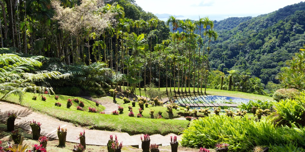 location voiture Martinique aeroport centre nord