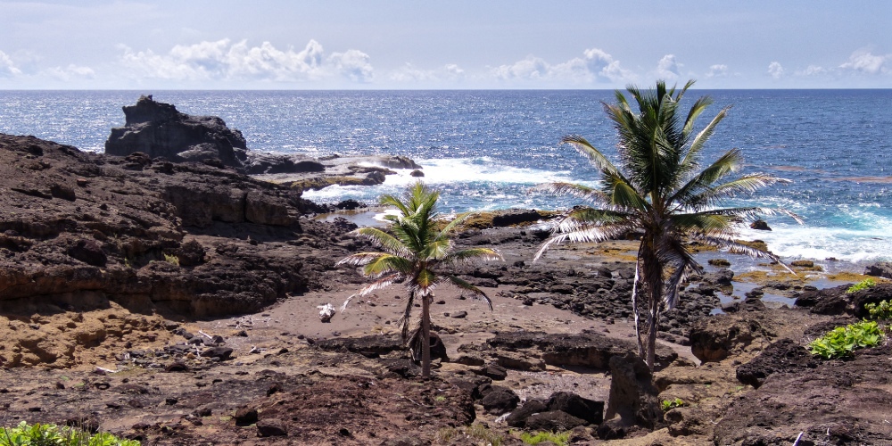 location voiture Martinique aeroport nord atlantique