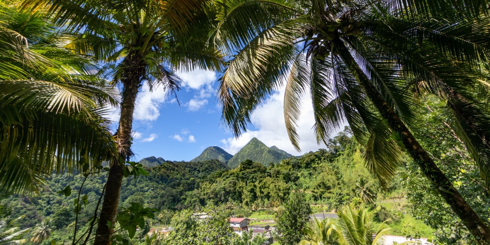 location voiture Martinique aeroport sud