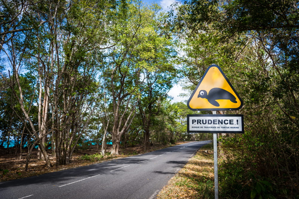 location voiture guadeloupe