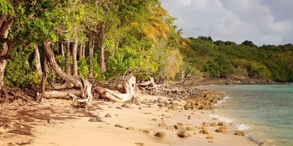 location voiture Lamentin Guadeloupe
