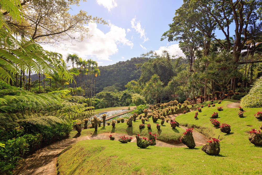 location voiture martinique paysage